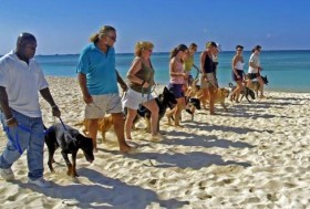 Beach Training