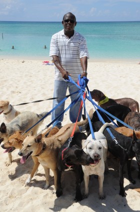 Dogs at the beach