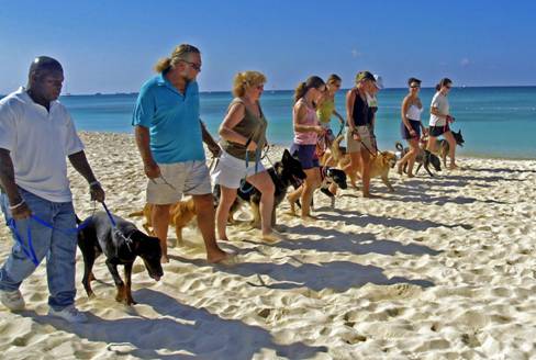 Beach Training Programme